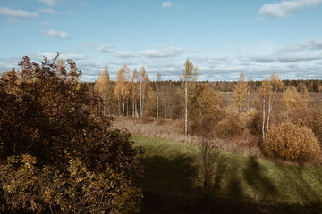 Autumn landscape. View from the mountains to the field and forest. Deciduous trees and shrubs with yellow leaves. Blue sky, white clouds. Day.