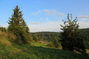 Fototapeta na wymiar Beautiful view of the landscape in the Carpathian mountains