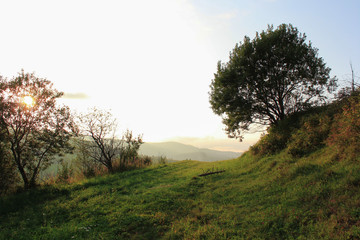 Fototapeta na wymiar Beautiful view of the landscape in the Carpathian mountains