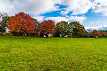 autumn in the park