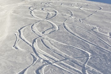 Fototapeta na wymiar Ski and snowboard curves in the fresh snow slope