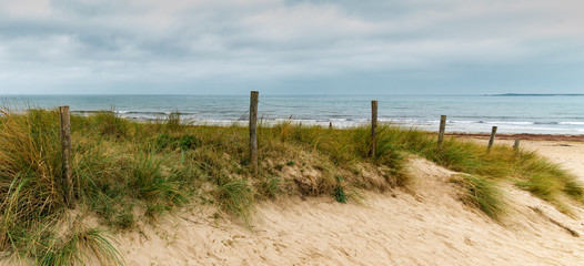 sandy path leads to an wild beach