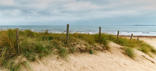 Fototapeta premium sandy path leads to an wild beach