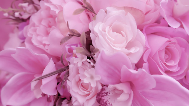 Blurred of rose flowers pink blooming. in the pastel color style for background. © puwa2827