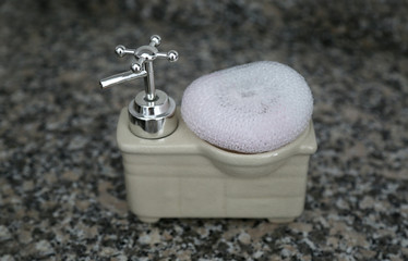  Soap dispenser and sponge holder set in the kitchen.