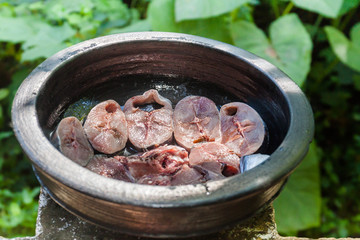 Front view of cut pieces of fresh fish in a black clay pot  for preparing fish curry in natural sunlight with green plants as background
