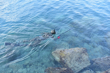 spearfishing or underwater fisherman - diver with a gun hunts on the sea coast