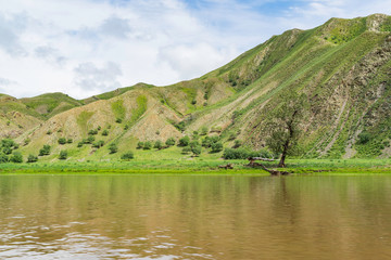 Mongolian landscape along river Ider