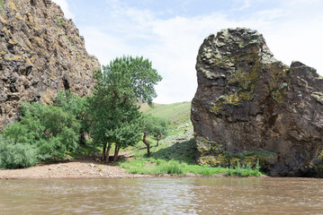 Mongolian landscape along river Ider