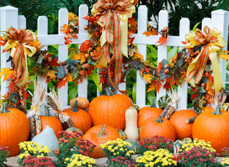 An October Halloween scene showing pumpkins and gourds
