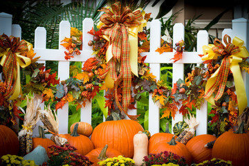 An October Halloween scene showing pumpkins and gourds