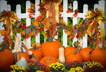 An October Halloween scene showing pumpkins and gourds
