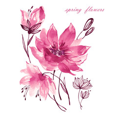Watercolor illustration of abstract spring flowers 