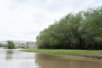 Mongolian landscape along river Ider