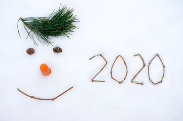 new year face at snow 2020