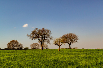 Murgia barese Apulia Italia