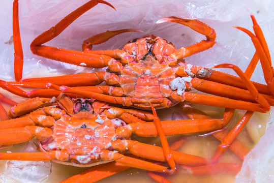 Fresh Alaskan King Crab sell at the Tsukiji Fish Market in Japan