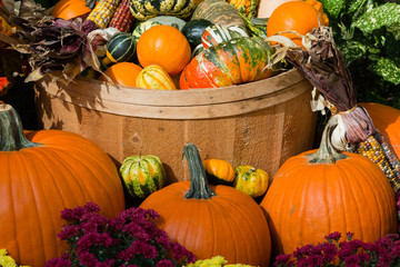 An October Halloween scene showing pumpkins and gourds