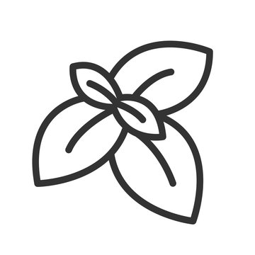 basil leaves outline simple design clip art preview