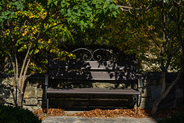 Park bench in autumnal park