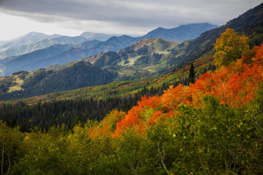 Colors starting to change