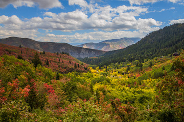 Fall colors in the mountains