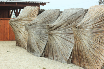 Straw umbrellas on an empty beach on a foggy day. Rainy cold weather on the sea coast. Travel photography.