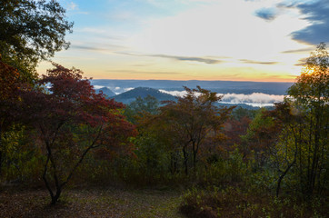 View of the fog covered valley below. Taken from the top of Morrow Mountain State Part NC