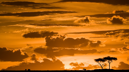 Fototapeta na wymiar Maasai Mara sunset, Kenya