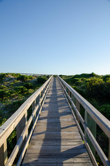 Obraz premium Wooden boardwalk crossing the sand dunes heading to the ocean. Oak Island NC beach in the background.
