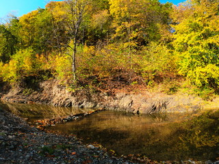 Obraz na płótnie Canvas Autumnal Park. Autumn Trees and Leaves in sun light. Autumn scene