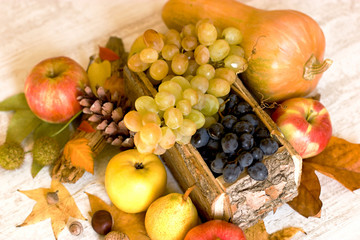 Autumn harvest , autumn crop on table - healthy food in diet