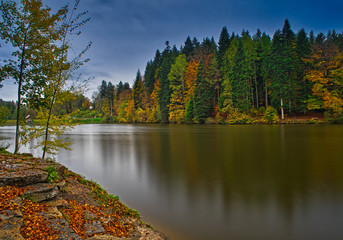 sea with green yellow forest in autumn