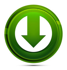 Down arrow icon glassy green round button illustration