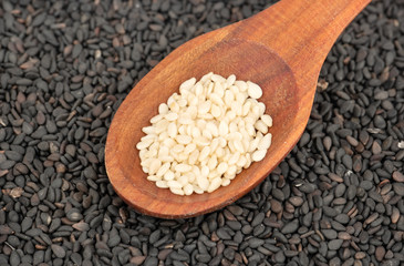 Sesame seeds in spoon