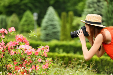 Photographer taking photo of blossoming bush with professional camera in park