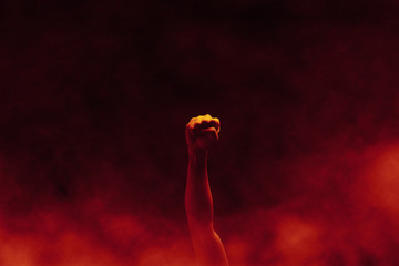 the rise of the human right