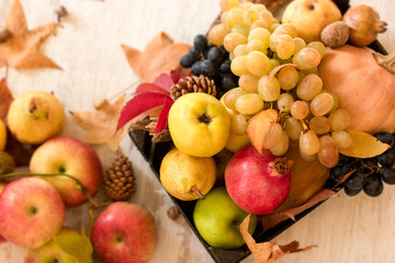 Naklejka na ściany i meble Seasonal fruit and vegetable, thanksgiving, harvest on table 