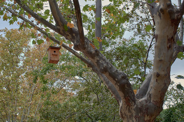 caseta para  p&aacute;jaros en el parque