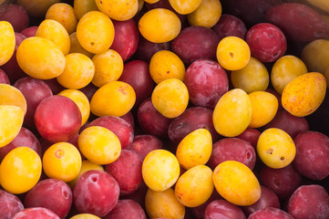 Red and yellow fresh ripe plums placed on table in market. Vegetarian or healthy eating.