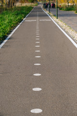 Bike path in the park with green grass and beautiful alea trees. 