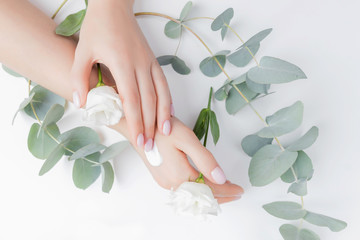 Woman applying hand cream flowers eucalyptus on white background, top view. Concept cosmetic body...