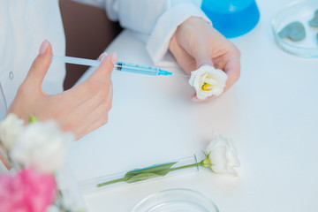 Scientist extracts oil syringe from flowers test natural cosmetics extract aroma. Buds leaf in glass flask. Biotechnology concept
