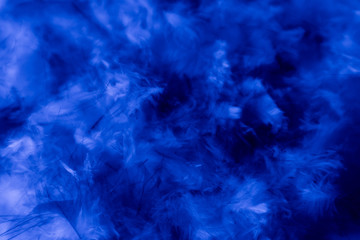 Fototapeta na wymiar Beautiful abstract blue pink feathers on darkness background and colorful purple feather texture pattern