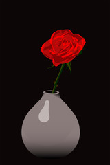 Red rose in a light vase on a black background