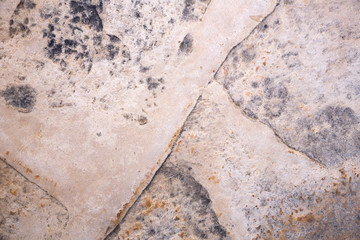 Fototapeta premium Concrete floor background