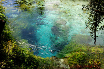 Blue eye deep spring water in national park in Albania.