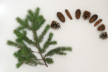 Fototapeta na wymiar branch of a natural Christmas tree and natural cones on a white background. New Year card. Christmas background.