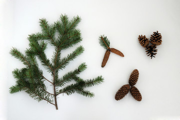 Fototapeta na wymiar branch of a natural Christmas tree and natural cones on a white background. New Year card. Christmas background.