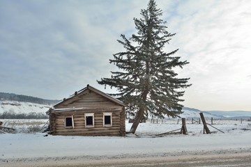 the ruins of a house in the winter forest 2